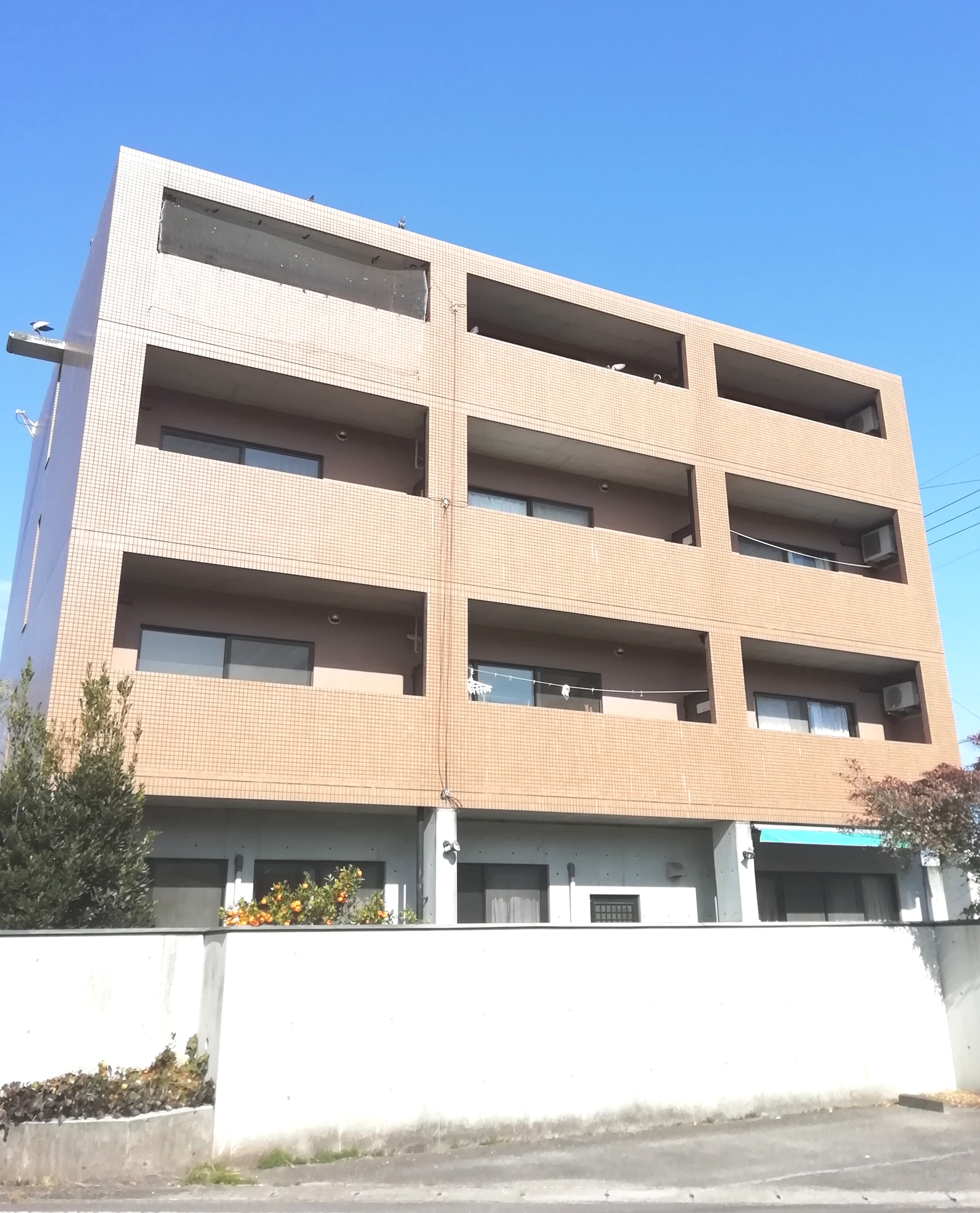 AGハウス